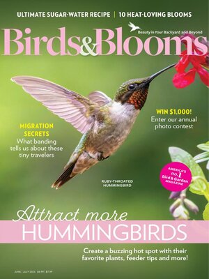 Birds & Blooms - Magazine